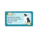 Pesquisar por sheepdog inglês Oes