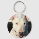Pesquisar por chien acessorios Perro