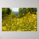 Pesquisar por eu sou fotógrafo pôsteres pósteres Flores
