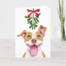 Pesquisar por bull terrier cartoes Dog