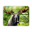 Pesquisar por moose imas Nos mudamos