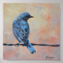 Pesquisar por bluebird Pássaro azul