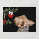 Pesquisar por yorkshire terrier christmas cartoes postais Xmas