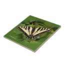 Pesquisar por andorinhas lar decoração Borboleta