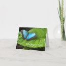 Pesquisar por morpho cartoes Borboleta