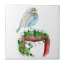 Pesquisar por robin azulejos Natureza