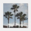 Pesquisar por coco imas Palmeira