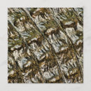 Pesquisar por crocodilo convites Animal