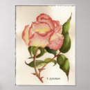 Pesquisar por watercolor flower pôsteres pósteres Para todos