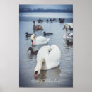 Pesquisar por cisne branca artes pósteres Para eles