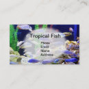 Pesquisar por peixes bonitos cartao de visita Vida marinha