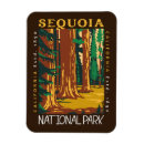 Pesquisar por árvore vermelha imas Para todos