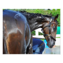 Pesquisar por sightseeing pósteres Qualquer pessoa