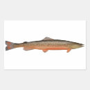Pesquisar por trout adesivos Peixe