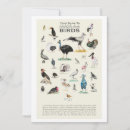 Pesquisar por cegonha engraçada cartoes Para todos