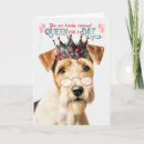 Pesquisar por fox terrier cartoes Cães