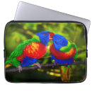 Pesquisar por papagaio laptop sleeves Colorido