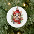Pesquisar por do yorkshire terrier de natal natal decoração Cachorros