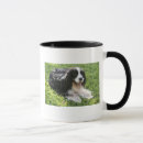 Pesquisar por springer spaniel canecas Preto e branco
