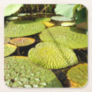 Pesquisar por almofada porta copos Verde