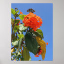 Pesquisar por geiger Floral