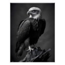 Pesquisar por pássaros majestosos pôsteres pósteres Liberdade