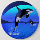 Pesquisar por orca botons Baleias assassinas