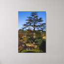 Pesquisar por comprar impressão de canvas Foto