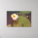 Pesquisar por almofada canvas impressão de canvas Lírio