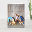 Pesquisar por ginásio cartoes Ginástica