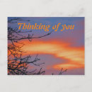 Pesquisar por thinking of you cartoes postais Qualquer pessoa