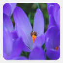 Pesquisar por ladybird adesivos Flor