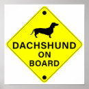Pesquisar por dachshund pôsteres pósteres Para pets