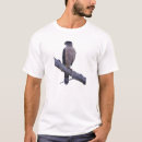 Pesquisar por o falcão camisetas Qualquer pessoa