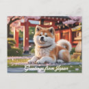 Pesquisar por akitas cartoes postais Japão