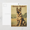 Pesquisar por alemão cartoes postais Cachorro