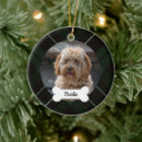 Pesquisar por xadrez verde ornamentos Cão de estimação