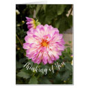 Pesquisar por pensamento imagem Flores