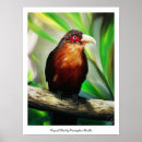 Pesquisar por pintura colorida pôsteres pósteres Cor