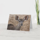 Pesquisar por antilope cartoes Antílope