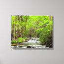 Pesquisar por montanhas impressão de canvas Floresta