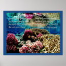 Pesquisar por coral marinho pôsteres pósteres Qualquer pessoa