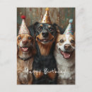 Pesquisar por cachorros cartoes Para pets