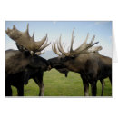 Pesquisar por afeição cartoes postais Família