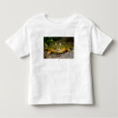 Pesquisar por animais vertebrados camisetas Natureza