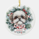 Pesquisar por shih tzu ornamentos Cães