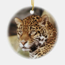 Pesquisar por jaguar ornamentos Animal