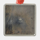 Pesquisar por tanzânia ornamentos Paisagem