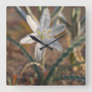 Pesquisar por bloom relogios de parede Blossom