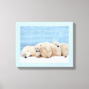 Pesquisar por pintura urso impressão de canvas Arte